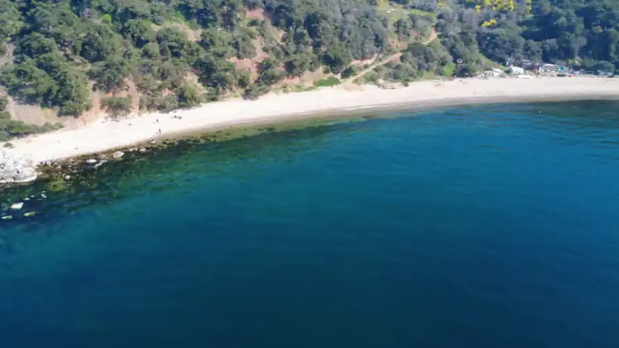 Burgazadası Madam Martha Koyu İhalesi Neden İptal Edildi: Yeniden İhaleye Çıkacak Mı?