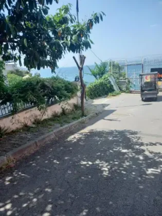Büyükada'da Skandal: Kamuya Ait Kadastrol Yol Yıllardır İşgal Altında!