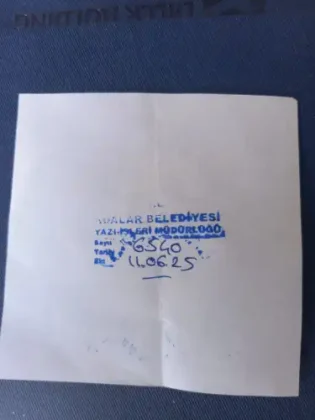 Büyükada'da Skandal: Kamuya Ait Kadastrol Yol Yıllardır İşgal Altında!