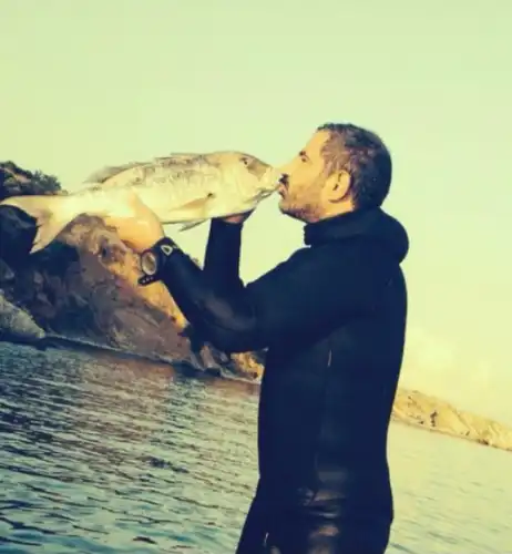 Adalar'da Sokak Köpeklerinin Toplanması Büyük Tepki Çekti: Vatandaşlar "Uyutma" Uygulamasına İsyan Ediyor