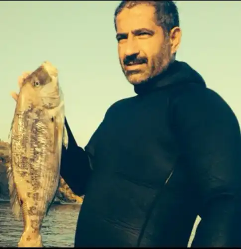 Adalar'da Sokak Köpeklerinin Toplanması Büyük Tepki Çekti: Vatandaşlar "Uyutma" Uygulamasına İsyan Ediyor