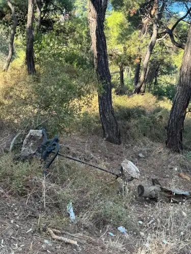 Büyükada Aşıklar Yolu’nda Vandalizm: Orman İçi Oyma Banklar Parçalandı