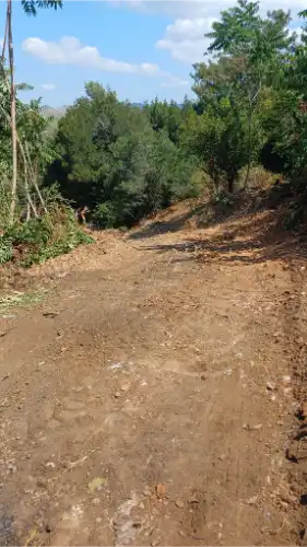 Büyükada Tepeköy'de Tartışmalı Yol Açma Çalışması: Ağaçlar Kesiliyor, Yerel Halk Tepkili
