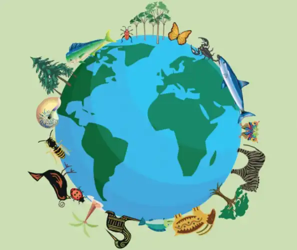 Büyükada’da biyoçeşitliliği koruma projesi uygulansın