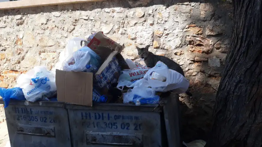 Büyükada’da Çöp Krizi Derinleşiyor: Sokaklar Atık Yığınlarıyla Dolup Taşıyor