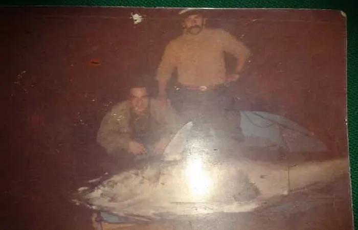 Adalarda Balık Hikâyeleri