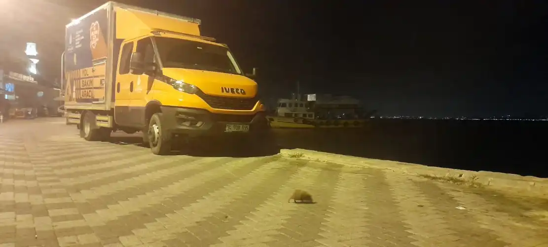 Betonun Soğuk Yüzü ve Bir Kirpinin Sessiz Çığlığı: Büyükada Nereye Gidiyor?