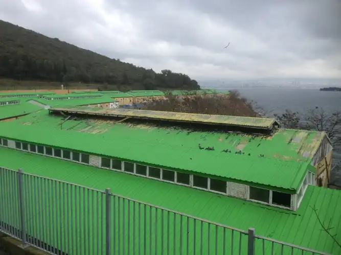 Büyükada’yı Sarsan Yangın: Ahırlarda Başlayan Alevler 9 Atın Sonunu Getirdi