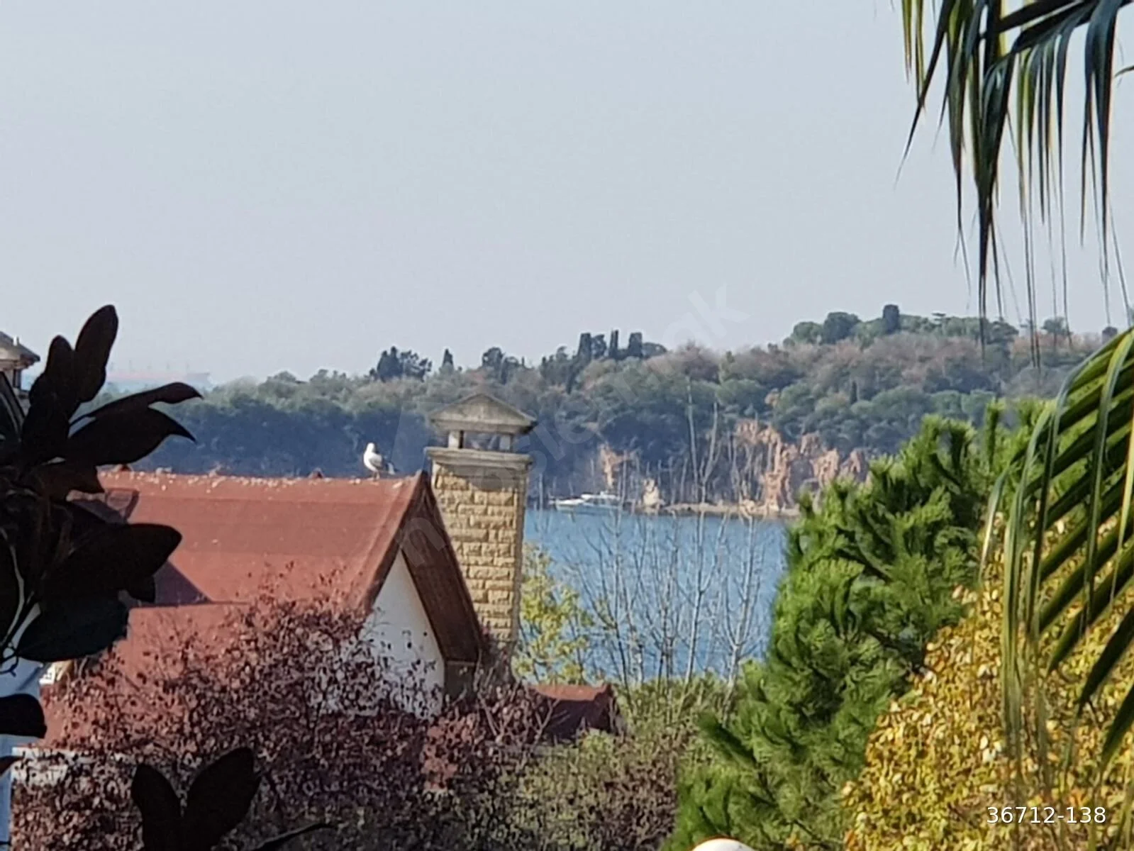 İstanbul Adalar’da Kiralık Fiyatları Zirvede: Ortalama Kira 44 Bin TL’ye Dayandı, Burgazada’da Yıllık Artış Rekor Kırdı!