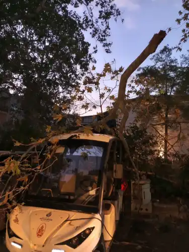 Kınalıada’da Korkutan Olay: Dev Çınar Dalı İETT Aracının Üzerine Düştü!