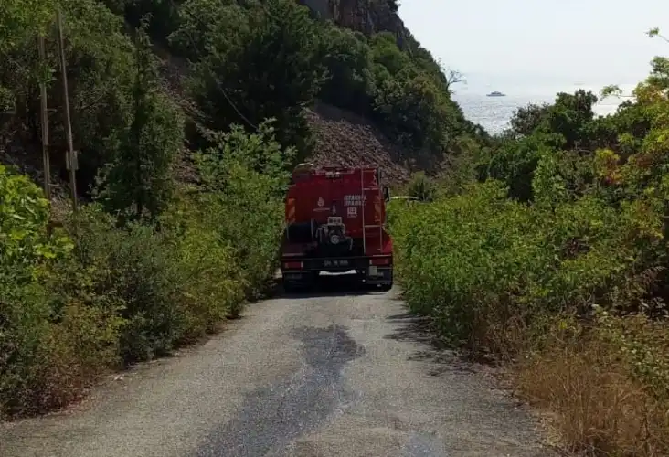 Kınalıada’da Şok Eden Olay: Scooter’lı 3 kişi Ormanı Yakmaya Çalıştı!İ