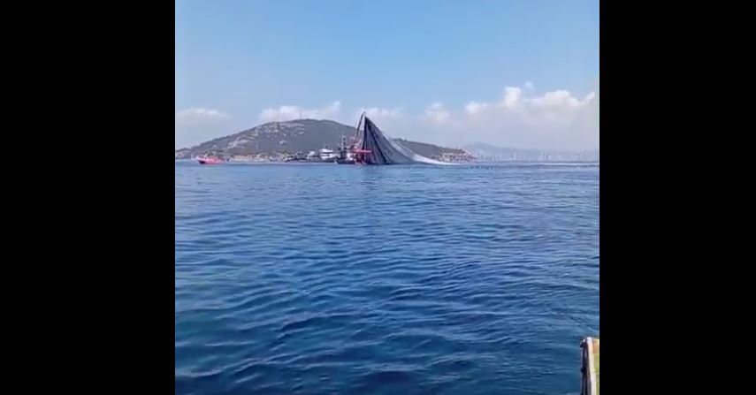 Marmara Denizi’nde Endüstriyel Balıkçılık Yasağına Tam Destek: “Marmara’ya İhanet Etmeyin!”