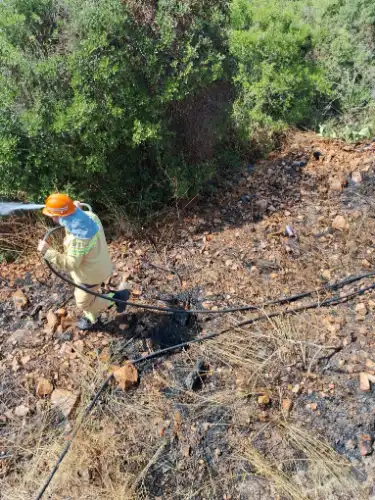Orman Ekiplerinden Kınalıada’da Kritik Yangın Müdahalesi: Alevler Saniyelerle Durduruldu