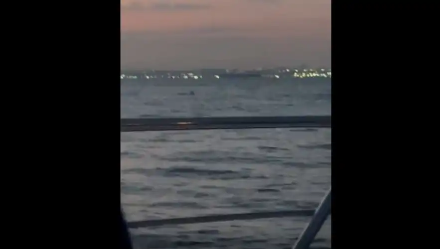 Adalar Açıklarında Yasa Dışı Gırgır Avcılığı İddiası: O Anlar Kamerada!