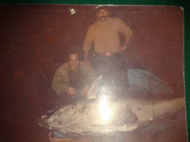 İstanbul’un Gözbebeği: Prens Adaları Sularındaki Balık Türleri Nelerdir?