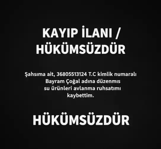 KAYIP İLANI / HÜKÜMSÜZDÜR