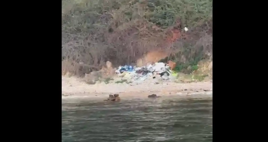 Kınalıada’nın Saklı Koyu Çöplüğe Döndü: Doğal Güzellik Tehdit Altında
