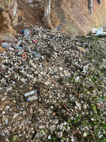 Asaf Plajı Şaşırttı: Komşu Kıyıdaki Çöp Dağlarına ve Haşerelere Savaş Açtılar