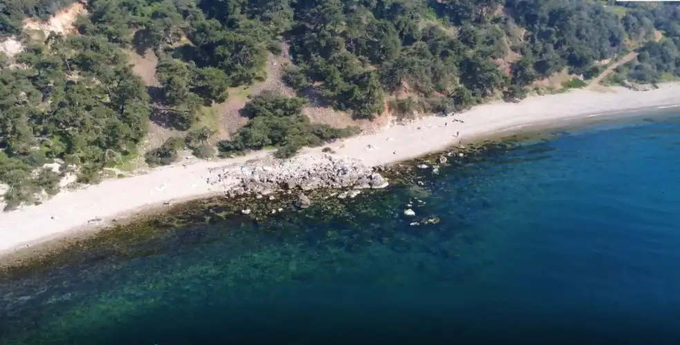 Burgazada’da Marta Koyu Gerilimi: Koruma Altındaki Alana Belediye İşletme Açacak