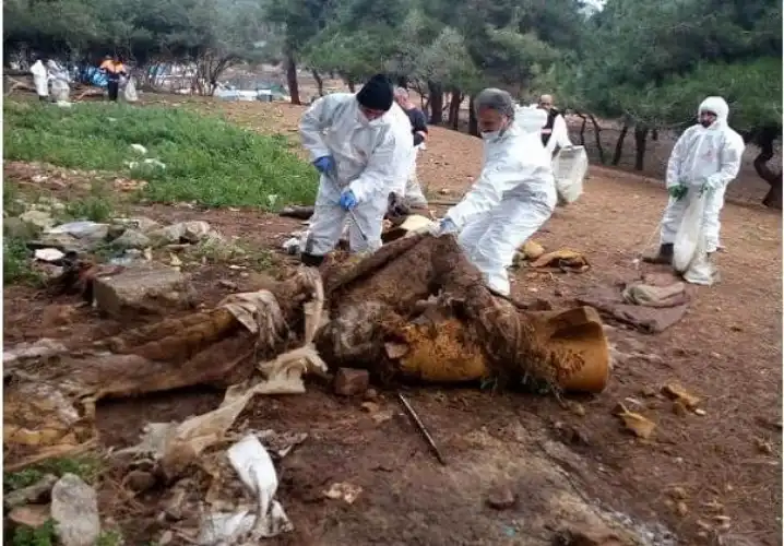 Adalar Belediyesi Atık Toplama Hakkını İhalesiz ve Bedelsiz Devretti