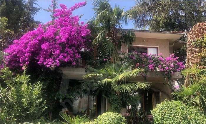 İstanbul Adalar’da Kiralık Konut Piyasası Raporu: Ortalama Kira 48.000 TL’ye Ulaştı