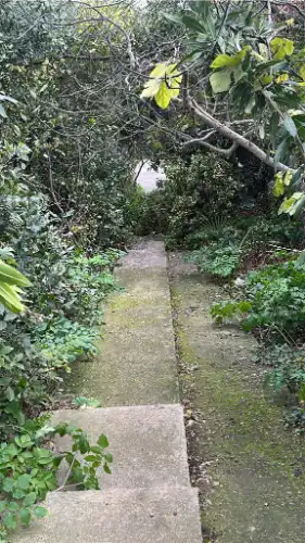 Lodos Marmara’yı Vurdu: Burgazada’da Devrilen Ağaçlar Yolları Kapattı!