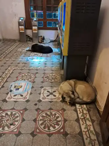 Vatandaşın İkilemi: Soğuktan Titreyen Canlar mı, Güvenli Ulaşım Hakkı mı?