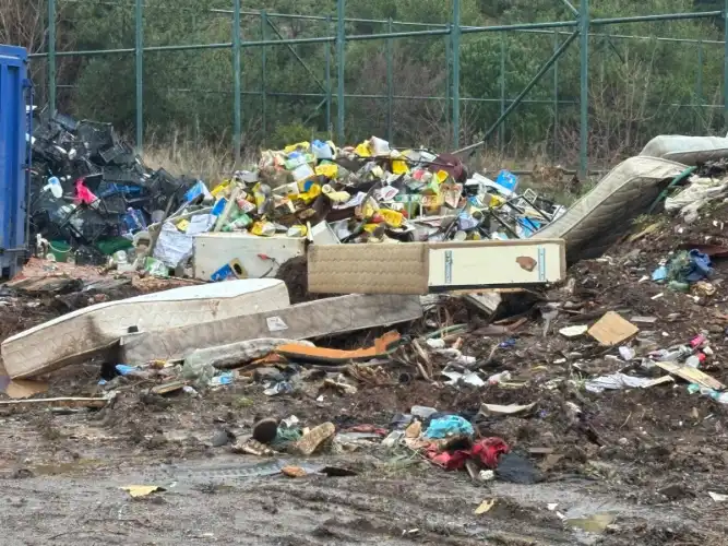 Heybeliada’da Çevre Kirliliği: Çam Limanı Atık Dağlarıyla Karşı Karşıya