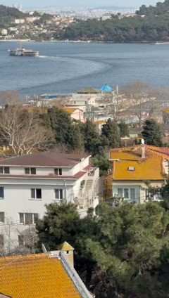 Mavi ve Yeşilin Ortasında Bir Nostalji Masalı: Adalar’da Şubat Güneşi