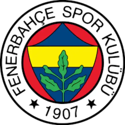 Fenerbahçe Taraftarının Beklentisi ve Güncel Durum