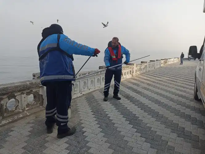 Adalar’da Bahar Hareketliliği: Mimoza Festivali, Çevre Seferberliği ve Sosyal Etkinlikler