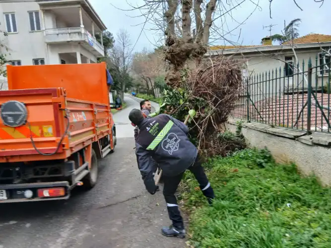 Adalar’da Kıyılar, sokaklar ve bahçe atıkları temizlendi