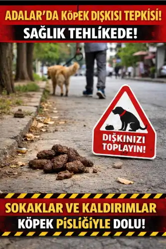 Adalar’da Köpek Dışkısı Tepkisi: Sokaklar ve Kaldırımlar Sağlığı Tehdit Ediyor