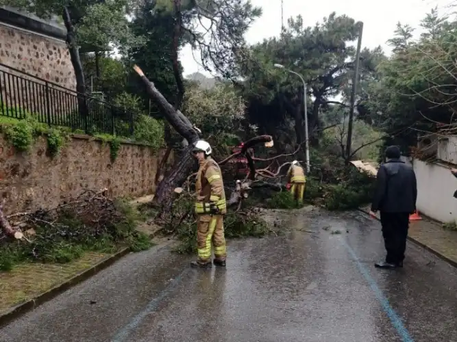 Burgazada’da devrilen ağaçlar ekipleri harekete geçirdi