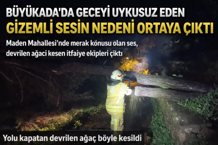 Büyükada’da gece yarısı duyulan gizemli sesin nedeni ortaya çıktı