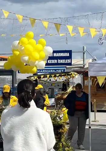 Mimoza Festivali mi, Mimoza Katliamı mı? Adalar’da ‘Sarı’ Çelişki!