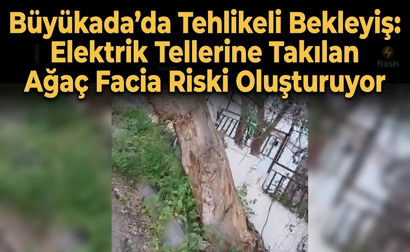 Büyükada’da Tehlikeli Bekleyiş: Elektrik Tellerine Takılan Ağaç Facia Riski Oluşturuyor