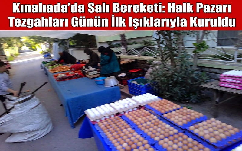 Kınalıada’da Salı Bereketi: Halk Pazarı Tezgahları Günün İlk Işıklarıyla Kuruldu
