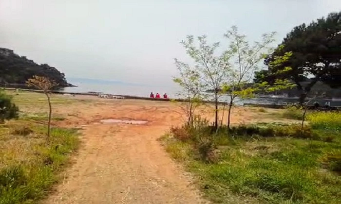 Heybeliada Çam Limanı’nda Bahar Esintisi: Doğa Ve Deniz Bir Arada
