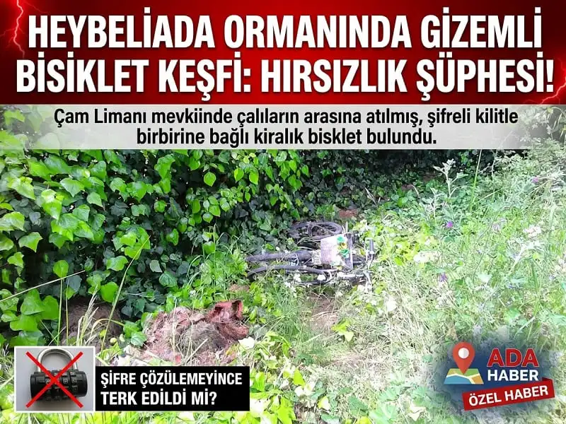 Heybeliada’da Ormanlık Alana Atılan Kiralık Bisikletler Tepki Çekti: Çalıntı Şüphesi Güçleniyor