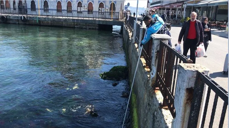 İBB Ekiplerinden Adalar’da Temizlik ve Bakım Çalışması