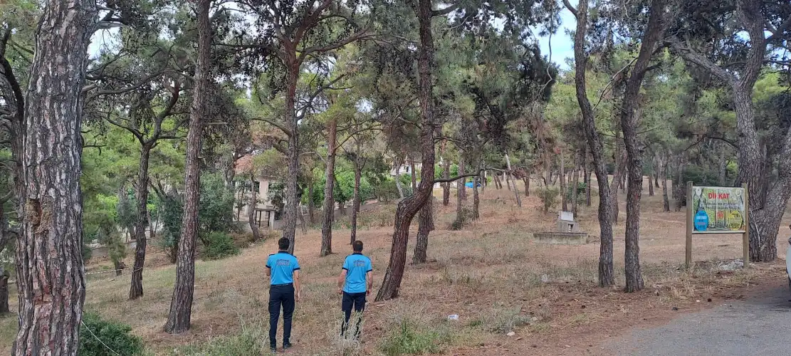3 Milyon Vatandaşı İlgilendiren Karar: İptal Edilen Tapulara İade Yolu Açıldı