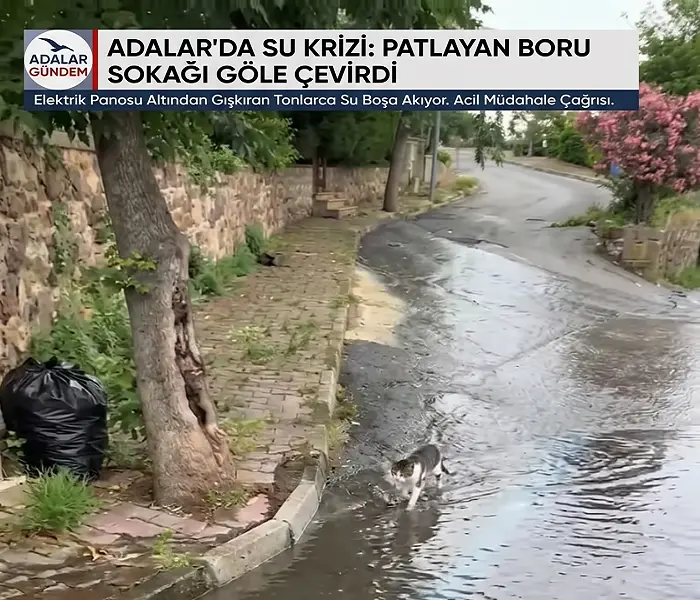Adalar’da Altyapı Sorunu: Patlayan Su Borusu Sokağı Göle Çevirdi