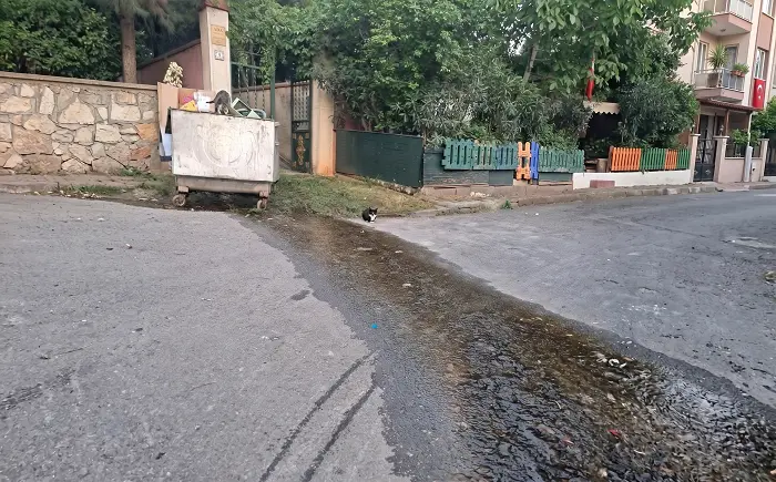 Büyükada’da ‘Milli Servet’ Sokağa Akıyor: Bir Aydır Çözüm Bekleyen Su Patlağı İsyan Ettirdi