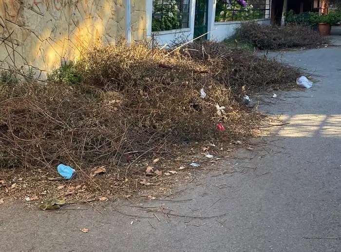 Adalar’da Yangına Davetiye: Büyükada Ve Kınalıada’dan Korkutan Görüntüler!