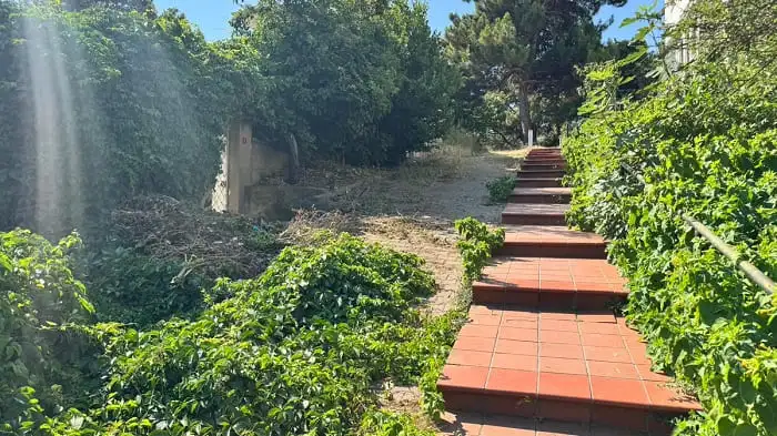 Burgazada’da İSTAÇ’tan Kapsamlı Çevre Mesaisi