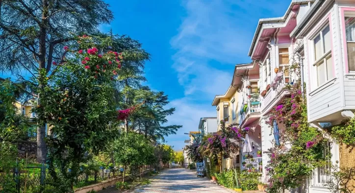 Büyükada: Kültürün Yaşadığı Mahalle