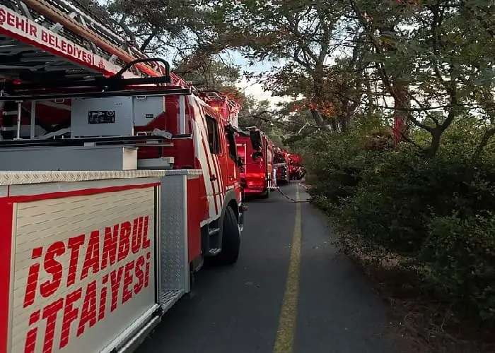 Büyükada’da Korkutan Yangın: Havadan, Karadan Ve Denizden Müdahaleyle Kontrol Altına Alındı