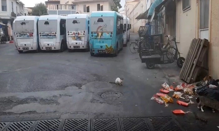 Büyükada’da Tepki Çeken Manzara: “Azmanbüs” Durağı Çöplüğe Döndü!
