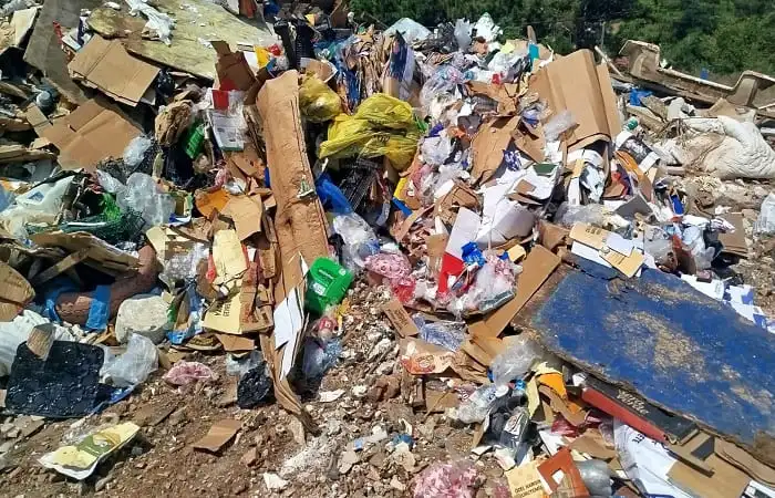 Heybeliada Alarm Veriyor: Gözde Tatil Beldesinde Çöp Krizi!